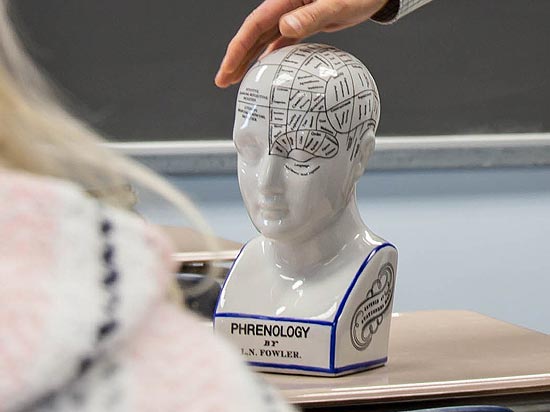 model of the human head and brain