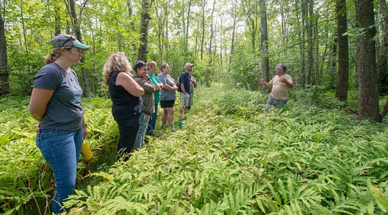 Several students attend an outdoor lesson at FLCC's field station, surrounded by ferns and trees.