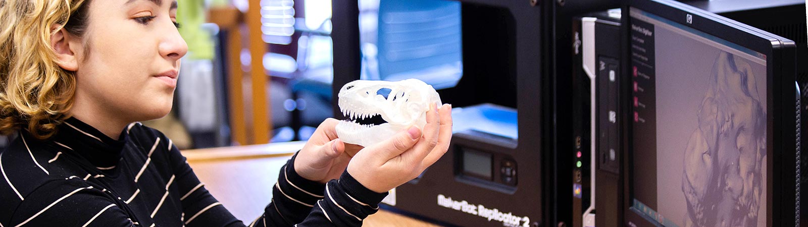 Student completing a skull model created with a 3D printer