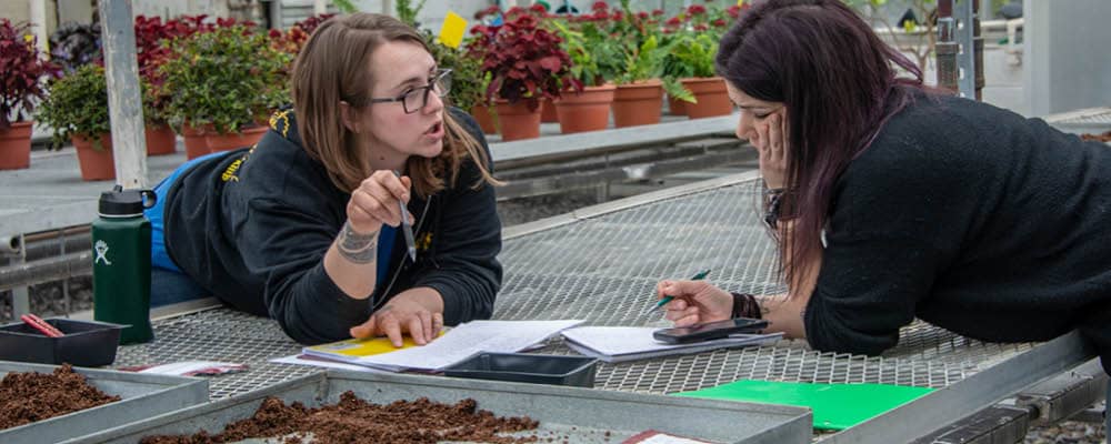 Two Horticulture students review course materials together while leaning on a grated metal shelf in the FLCC greenhouse.