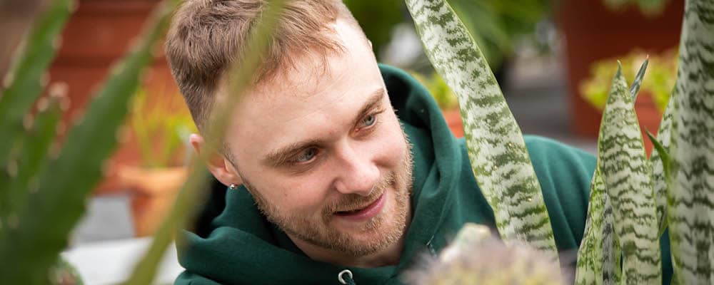 A young man carefully examines a white and green leafed plant in the Finger Lakes Community College greenhouse.