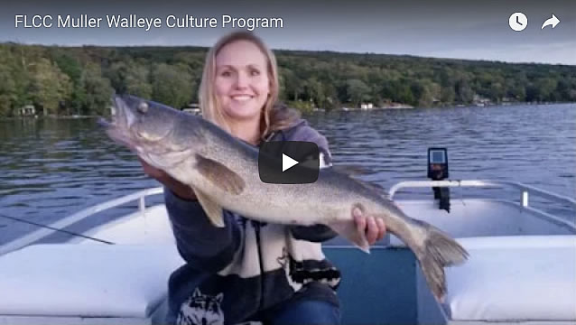 FLCC Muller Walleye Culture Program - A student on a boat holding a walleye with a view of a lake and shoreline in background