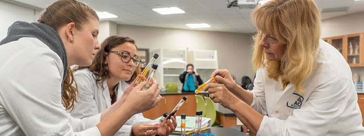 Two students and an instructor studying chemicals together in a lab.